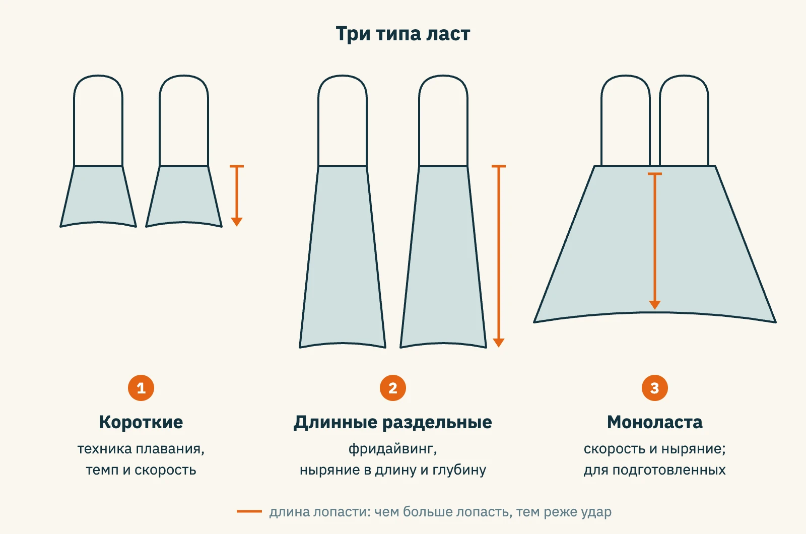 Сравнение трёх типов ласт: короткие — для техники плавания, длинные раздельные — для фридайвинга, моноласта — для подготовленных пловцов и ныряльщиков