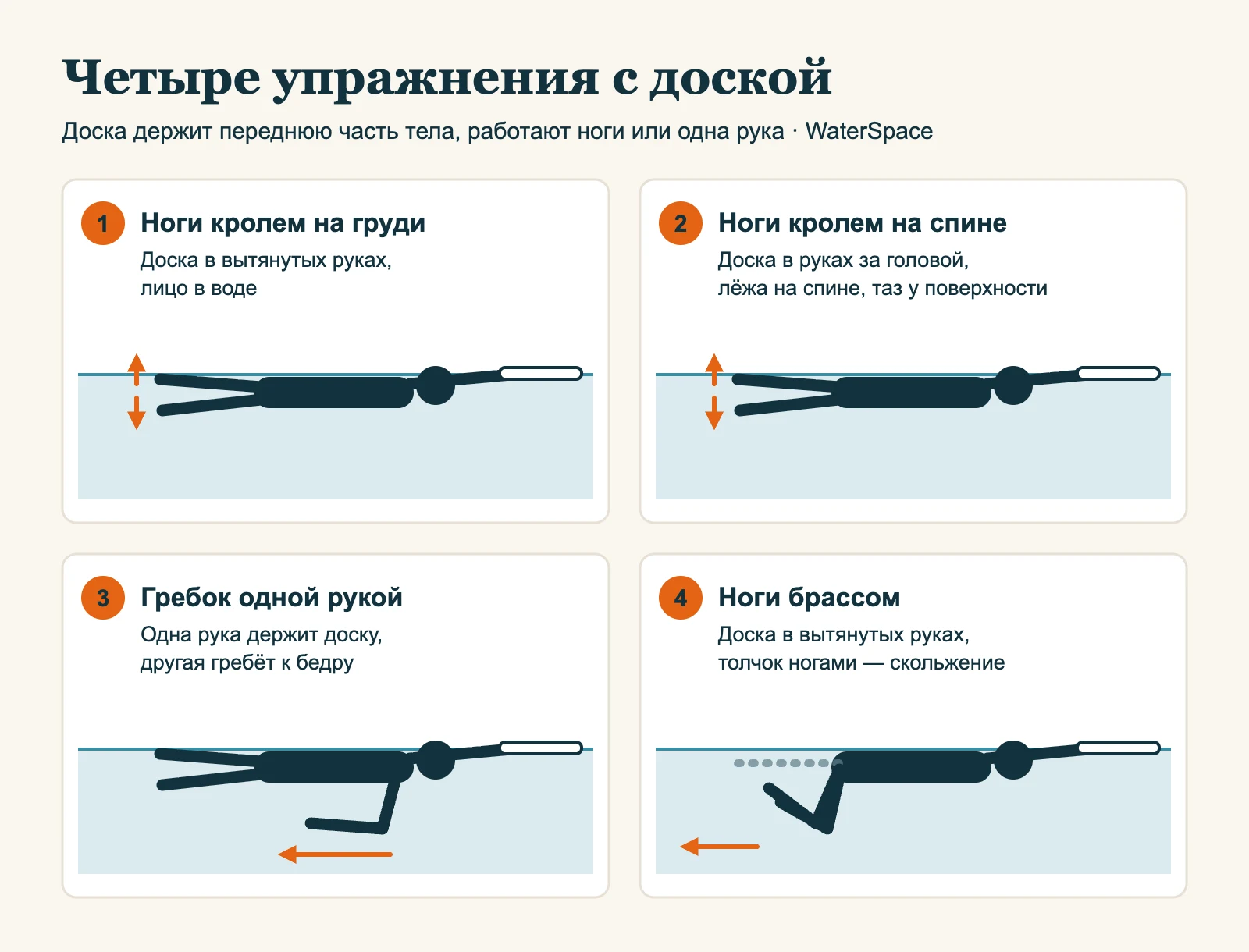 Схема четырёх упражнений с доской: ноги кролем на груди с доской в вытянутых руках, ноги кролем на спине с доской за головой, гребок одной рукой с доской в другой руке, ноги брассом с доской